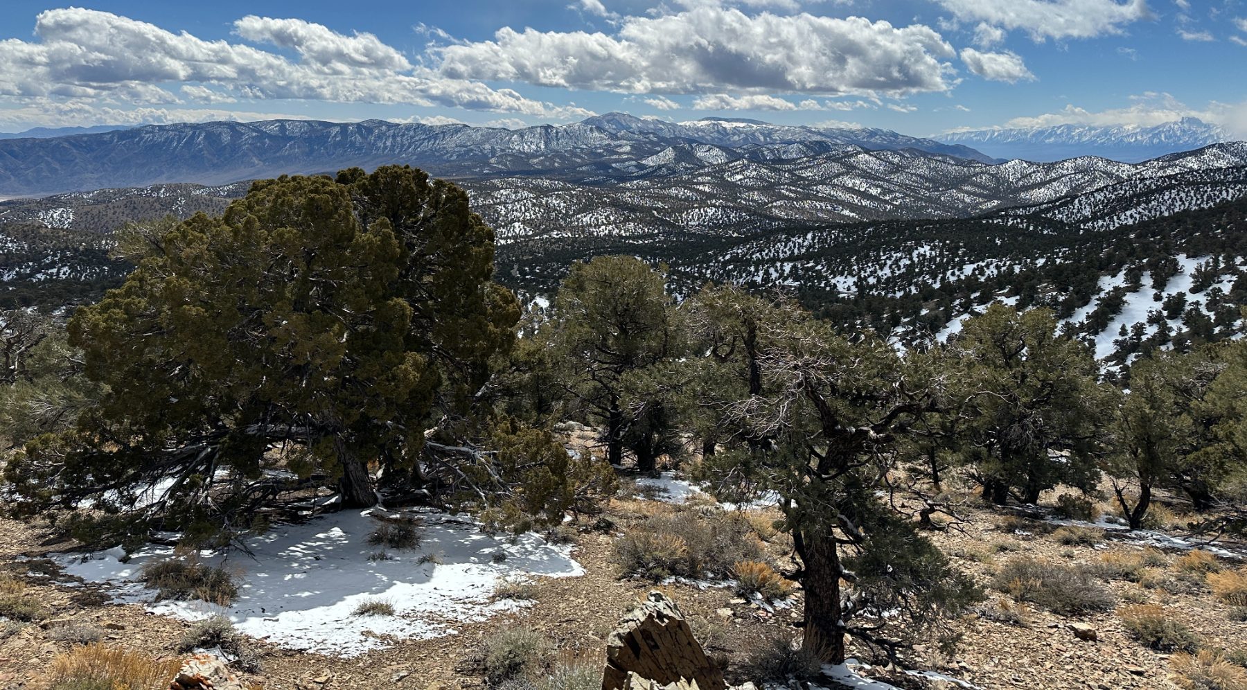 Western mountain landscape